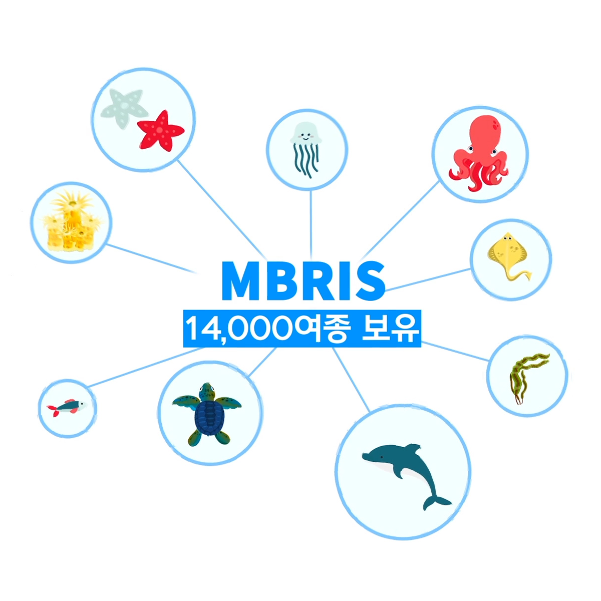 MBRIS 사이트 홍보영상