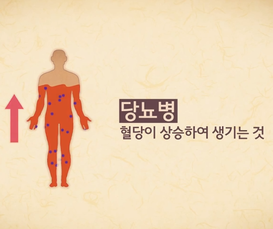 당뇨질환 교육영상